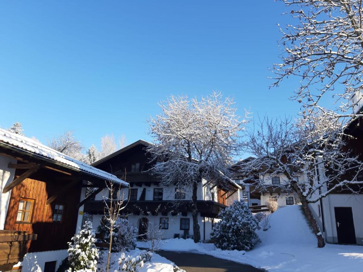 Ferienwohnung Freudensee Im Bayerischen Wald - Pool, Sauna ハウツェンベルク エクステリア 写真